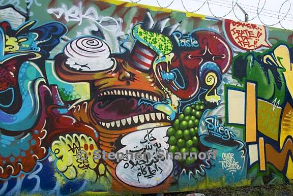 graffiti san francisco graphic 9